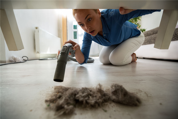 How Dust Can Lead to Household Pests
