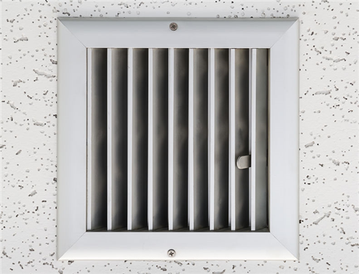 Could There Be Mold in Your Ducts