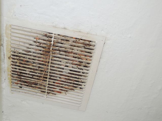 Does Your Ductwork Have Mold? 4 Ways to Tell